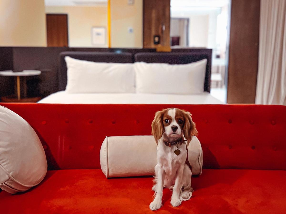 Haya Hotel 4*