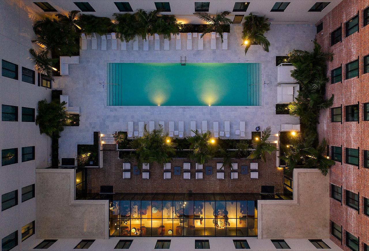 Haya Tampa